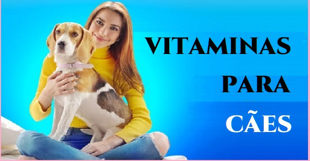 Vitaminas e Suplementos Alimentares para Cães e Gatos