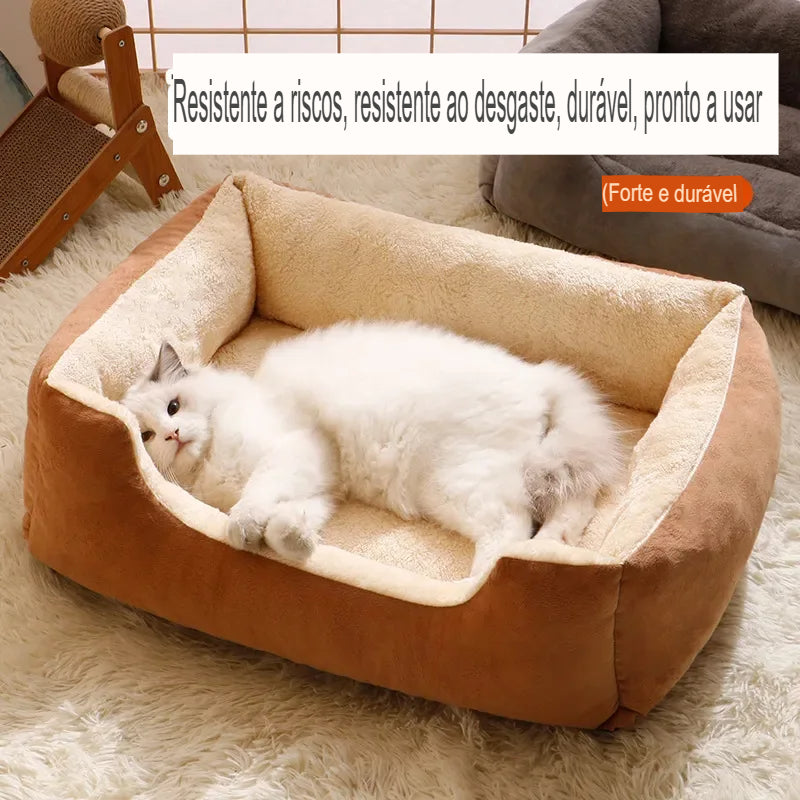 Cama de gato