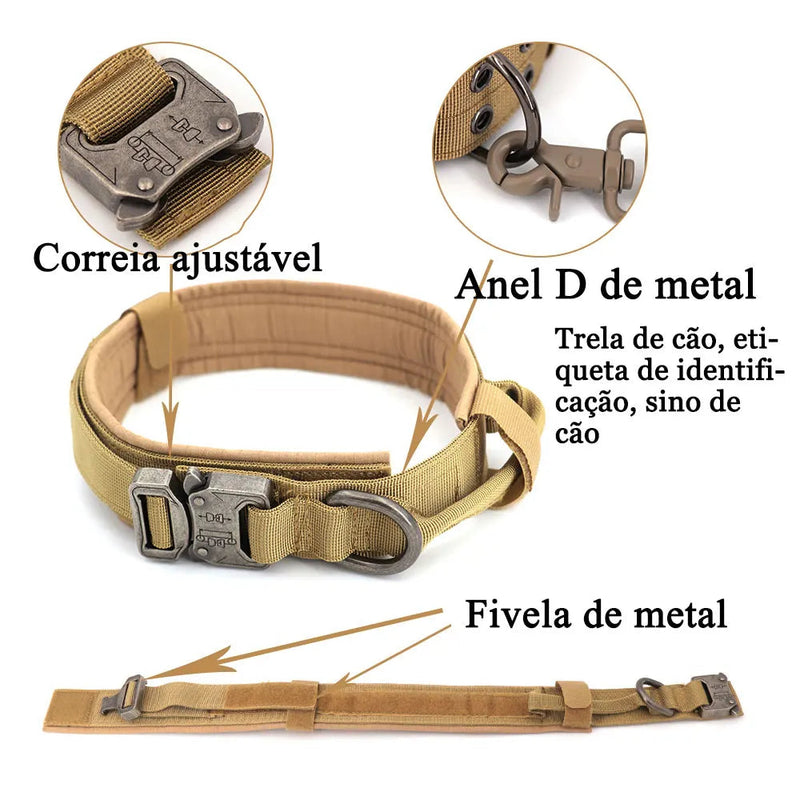 Conjunto de arreios e coleiras para cães