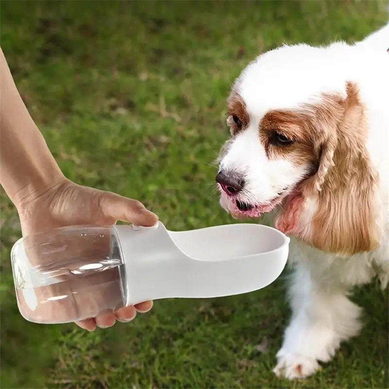 Garrafa de Água Portátil para seu PET 300ml