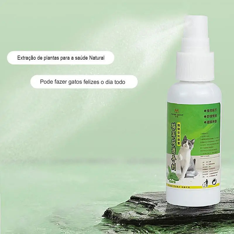 Catnip Spray de 50ml com ingredientes saudáveis para gatos