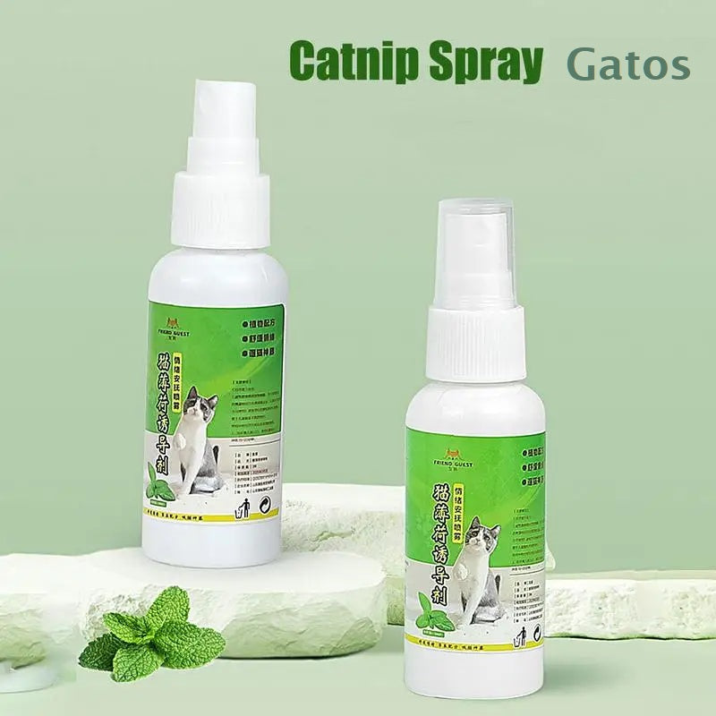 Catnip Spray de 50ml com ingredientes saudáveis para gatos