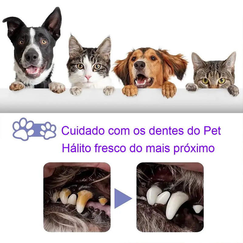 Spray oral para dente redutor de tártaro sabor menta refrescante para pets