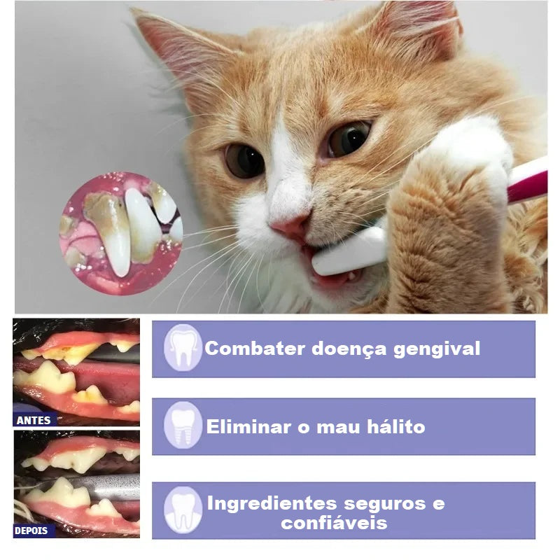 Produtos de limpeza, pasta de dente e escova de dente, para cães e gatos.